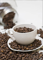 2090212177_98f01c348b_m